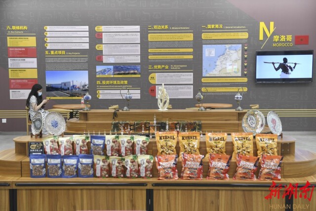大道向前·躍上新高地丨中國—非洲經貿博覽會：跨越山海 融通中非