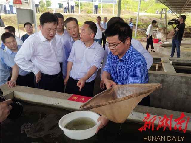 劉少軍院士團隊工作室落戶瀏陽烏龍漁場 岳麓山水產種業創新中心——烏龍漁場基地同時揭牌