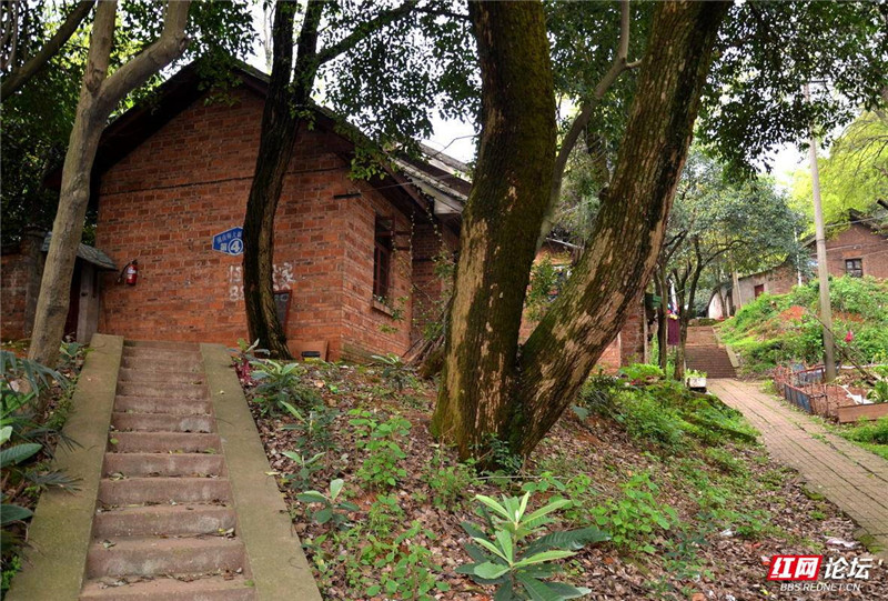 035 湖南師大.jpg