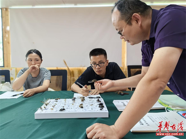 圖片 3.png 圖片 3.png