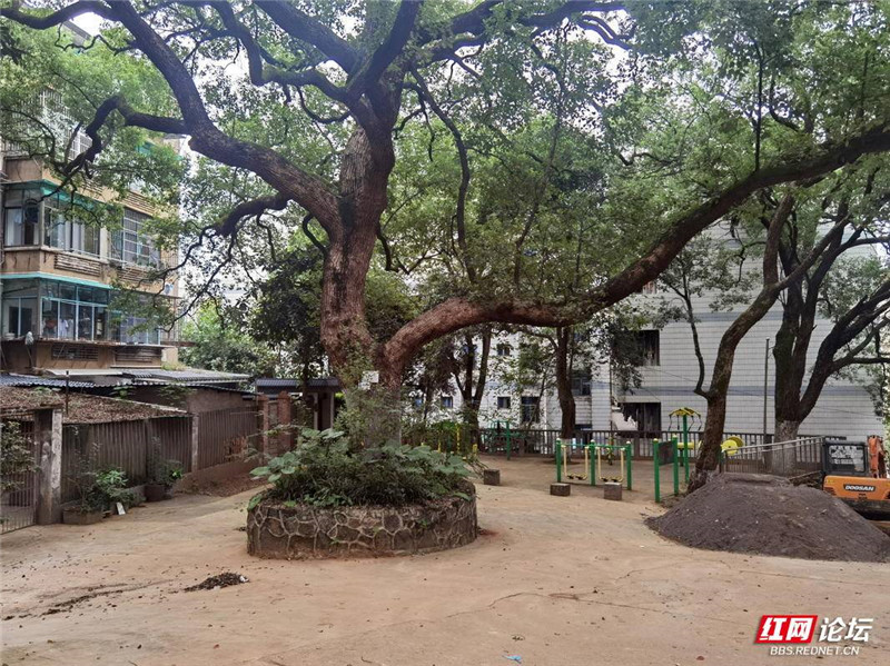 036 湖南師大.jpg