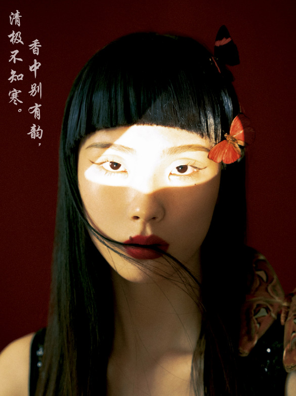 以“梅”賞詩，“定格”暗香涌動