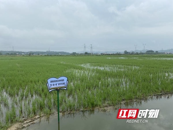 微信圖片_20220719164110.jpg 微信圖片_20220719164110.jpg