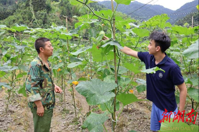 湖南師范大學“領夢者·弘帆”暑期社會實踐團深耕渣坪鄉，探尋“三農”解題之道