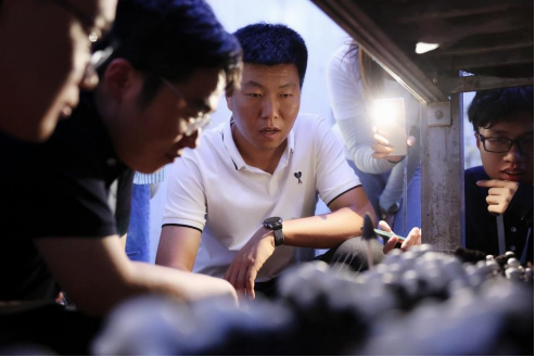 尋訪閩寧精神 湘約協(xié)同提質(zhì)