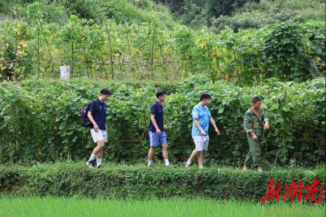 湖南師范大學“領夢者·弘帆”暑期社會實踐團深耕渣坪鄉，探尋“三農”解題之道