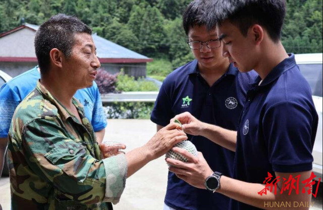湖南師范大學“領夢者·弘帆”暑期社會實踐團深耕渣坪鄉，探尋“三農”解題之道