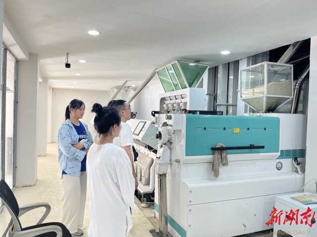 湖南師大暑期實踐團情系綏寧:多維度助力鄉村振興 湖南師大暑期實踐團情系綏寧:多維度助力鄉村振興